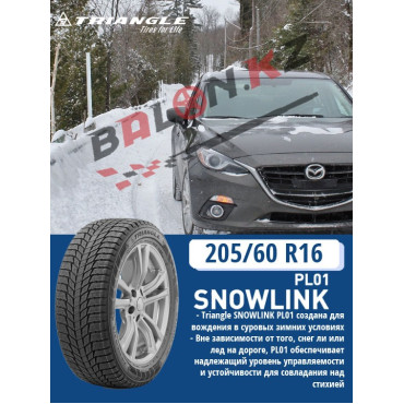 Triangle 205/60/16 PL01